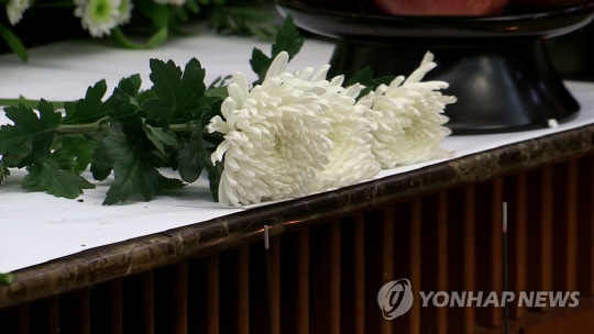 장례식장 국화 [연합뉴스TV 제공]